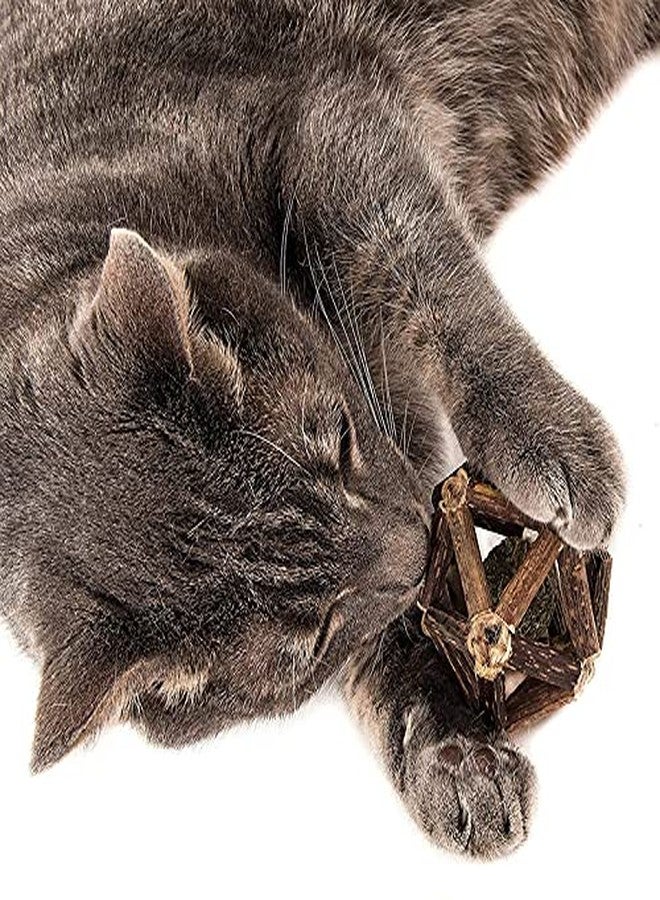 Pet Guard Cat Ball Vine Sticks Catnip Exquisite Ball Pet Biting Toy Teeth Care Funny Fitness Ball for Cat - Image 5